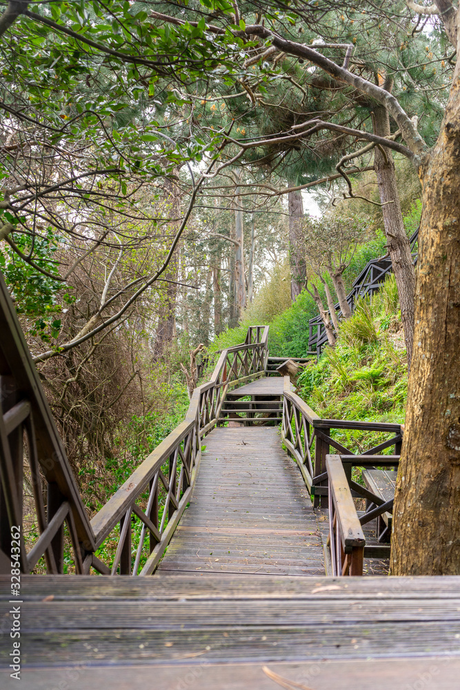 Obraz premium Wooden stairs in the middle of nature for walking and running