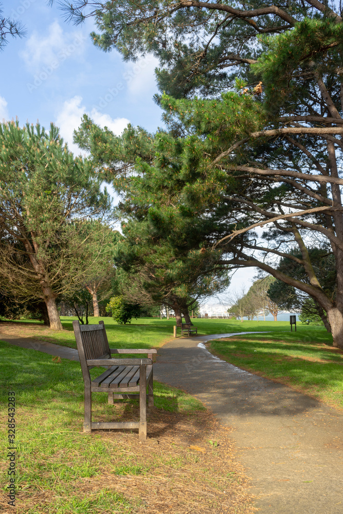 Small path in a natural park surrounded by trees for exercise and running Small path in a natural park surrounded by trees for exercise and running