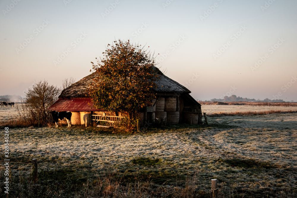 Obraz premium Stall im Winter