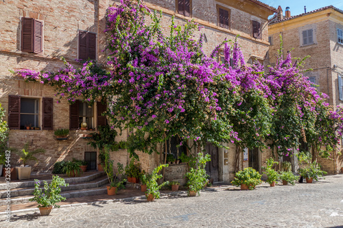 HIstorical center of Corinaldo with stone houses, chucrh, steps and flowers