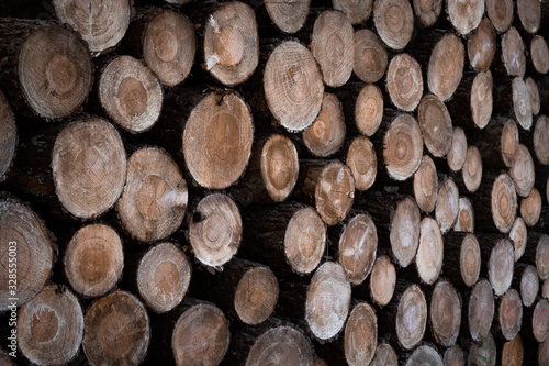 Wood logs stacked up after being cut down by lumberjack