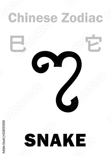 Astrology Alphabet: SNAKE [它] sign of Chinese Zodiac. Chinese character, hieroglyphic sign (symbol). photo