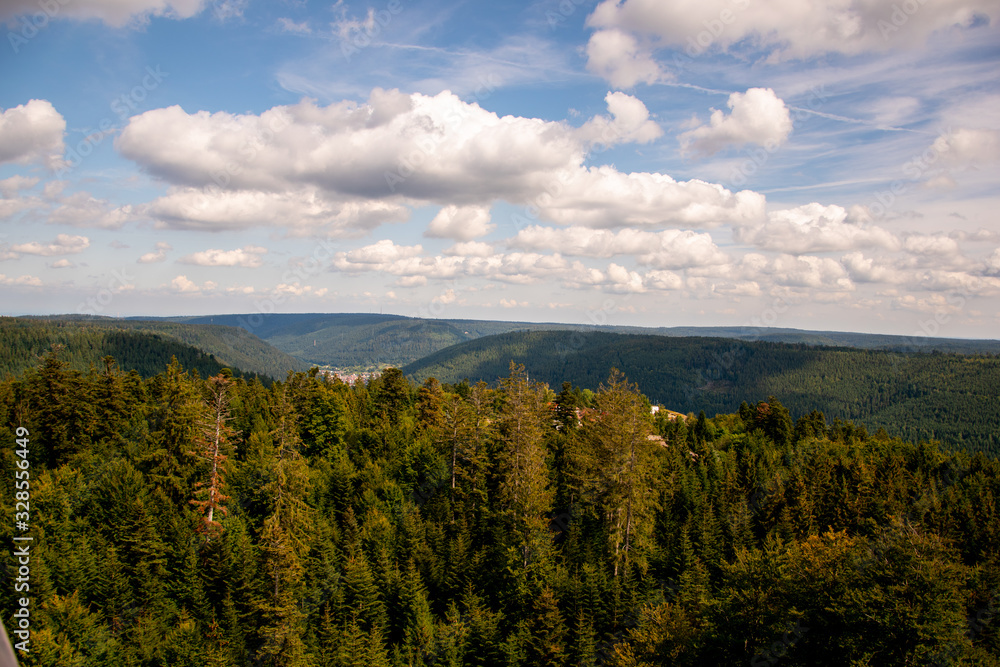 Blick auf der Schwarzwald