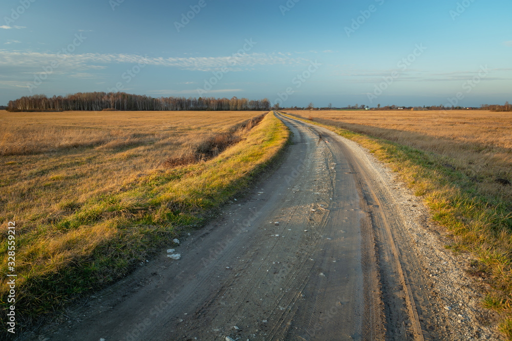 Dirt road through dry meadows in evening view, Srebrzyszcze, Poland