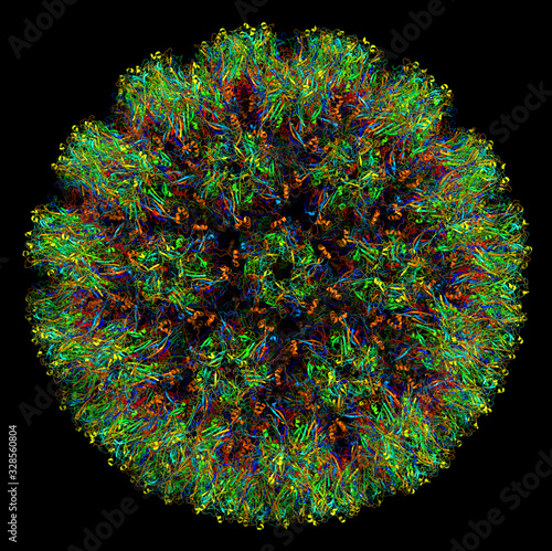 3D molecular structure of Human papillomavirus type 16, associated with various cancers and other diseases. PDB 3J6R