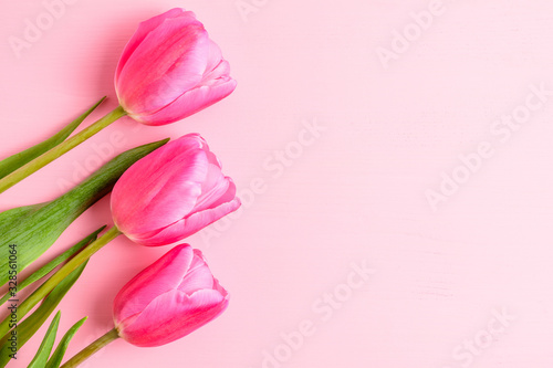 Fototapeta Naklejka Na Ścianę i Meble -  Top view of three small vivid pink tulip flowers and green leaves on a pink painted wooden table, beautiful indoor floral background photographed with small focus