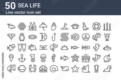 set of 50 sea life icons. outline thin line icons such as sea lion, shark, clam, anglerfish, coral, caviar, sea urchin