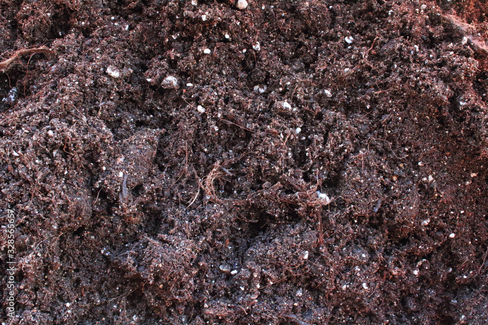 Black fertile soil for planting seedlings. Close-up. Top view. Background. Texture. Black fertile soil for planting seedlings. Close-up. Top view. Background. Texture.