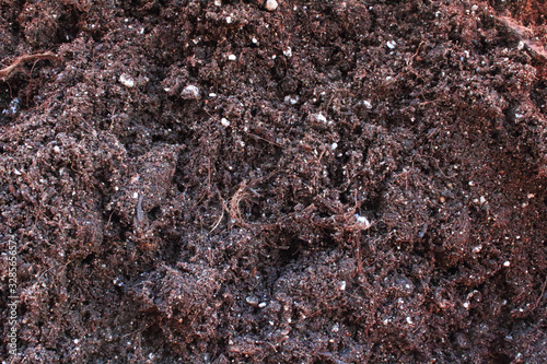 Black fertile soil for planting seedlings. Close-up. Top view. Background. Texture.