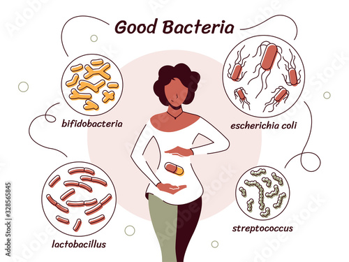 Vector illustration of bacteria useful to the human body