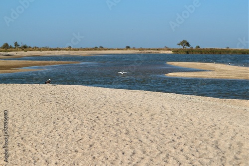 beach and sea