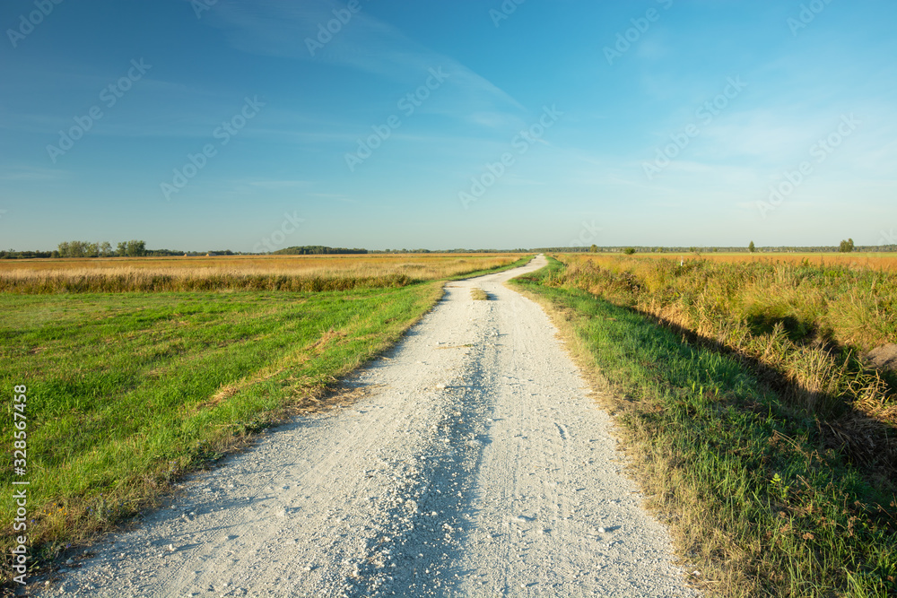 Gravel road through the meadow, horizon and blue sky