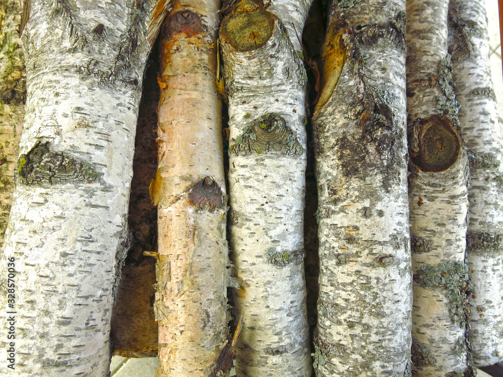 birch logs close-up sections stacked in a pile birch logs close-up sections stacked in a pile