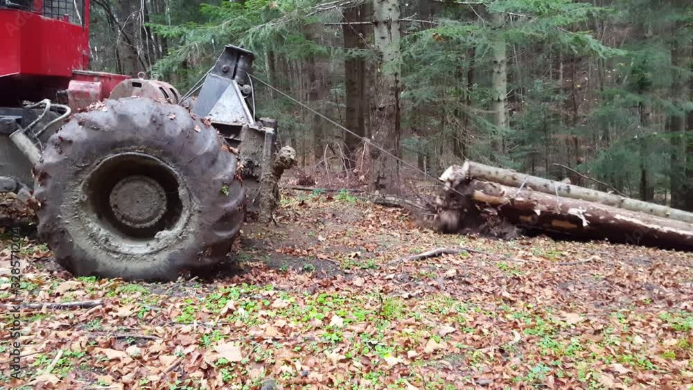 tractor pulling cut wood from forest tractor pulling cut wood from forest