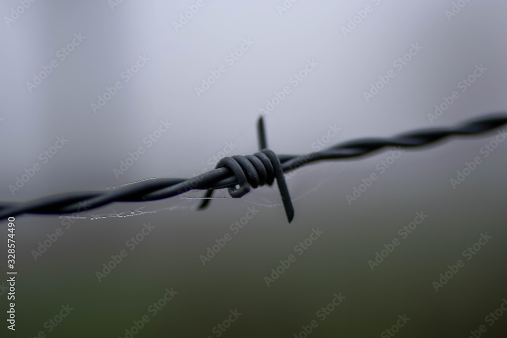 close-up on a barbed wire with a dark and misty atmosphere