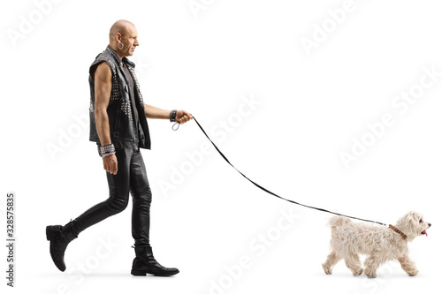 Bald punk walking a little white maltese poodle dog