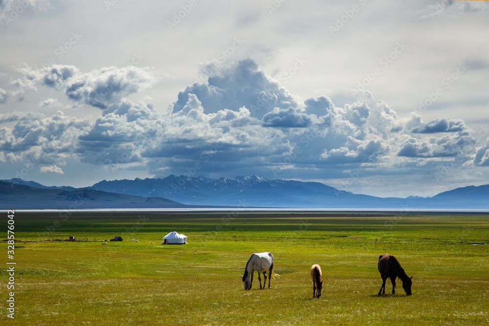 Traditional pastures in high mountains. Horses graze on the shore of a mountain Song-Kol lake in lush fields. Traditional yurt