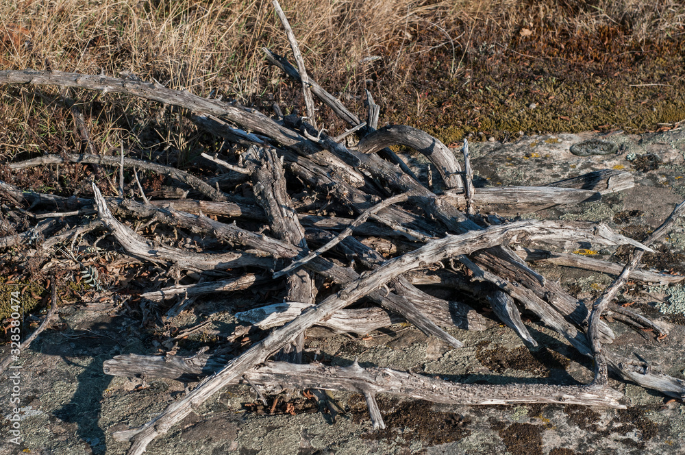 Pile of dried branches on mountain rock closeup Pile of dried branches on mountain rock closeup