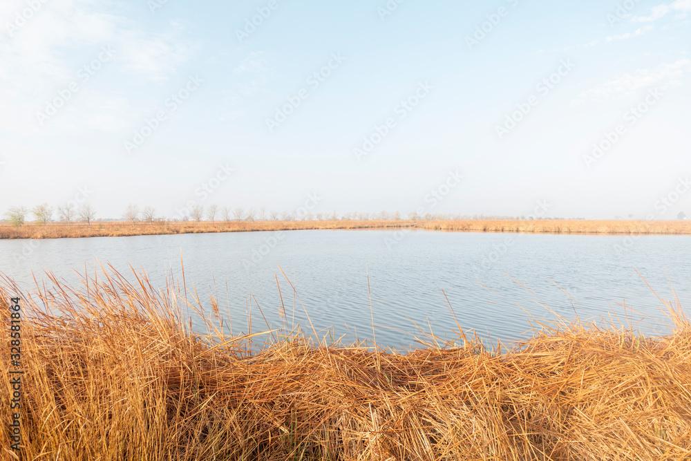 The natural park of the delta del ebro in Tarragona