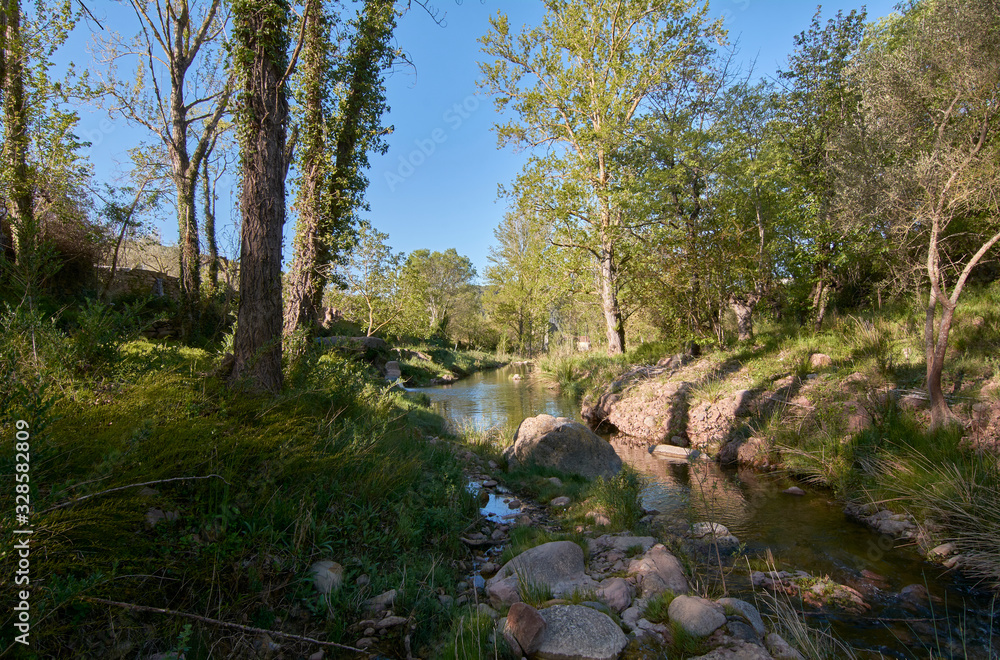 Quiet river on a bright spring morning