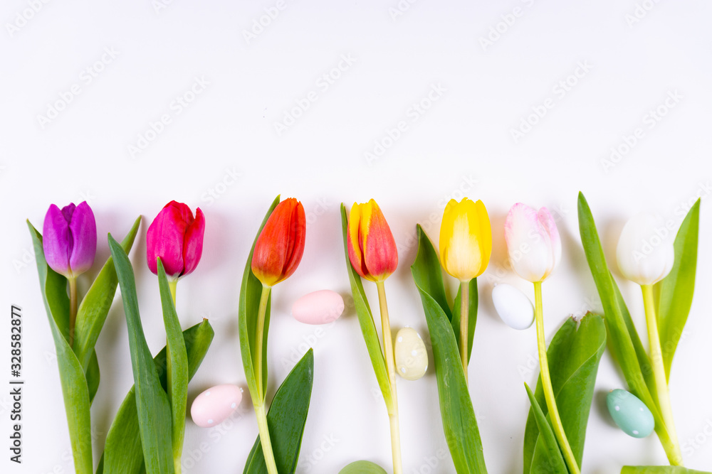 Fototapeta Colorful tulips laying in a row with easter eggs on white background with copy space