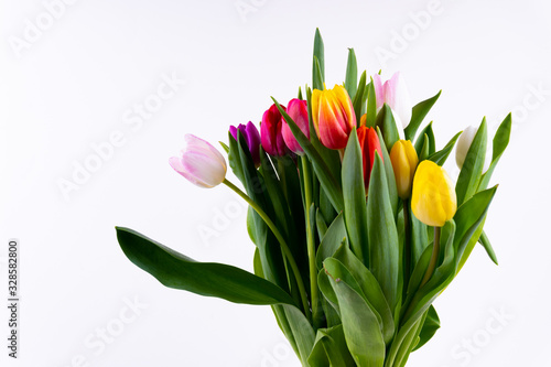 A bunch of colorful tulips on white background