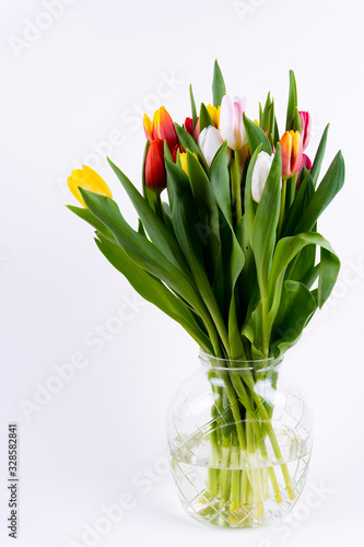 A bunch of colorful tulips in a vase on white background