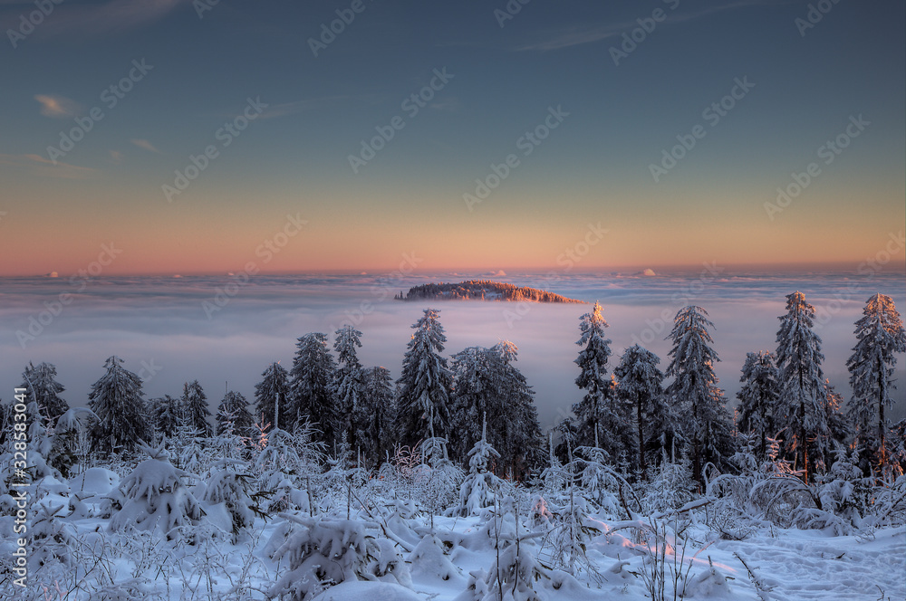 Fototapeta premium Winterlandschaft