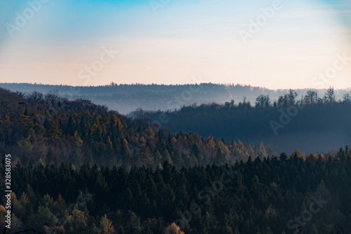 Bewaldete Hügel im Nebel