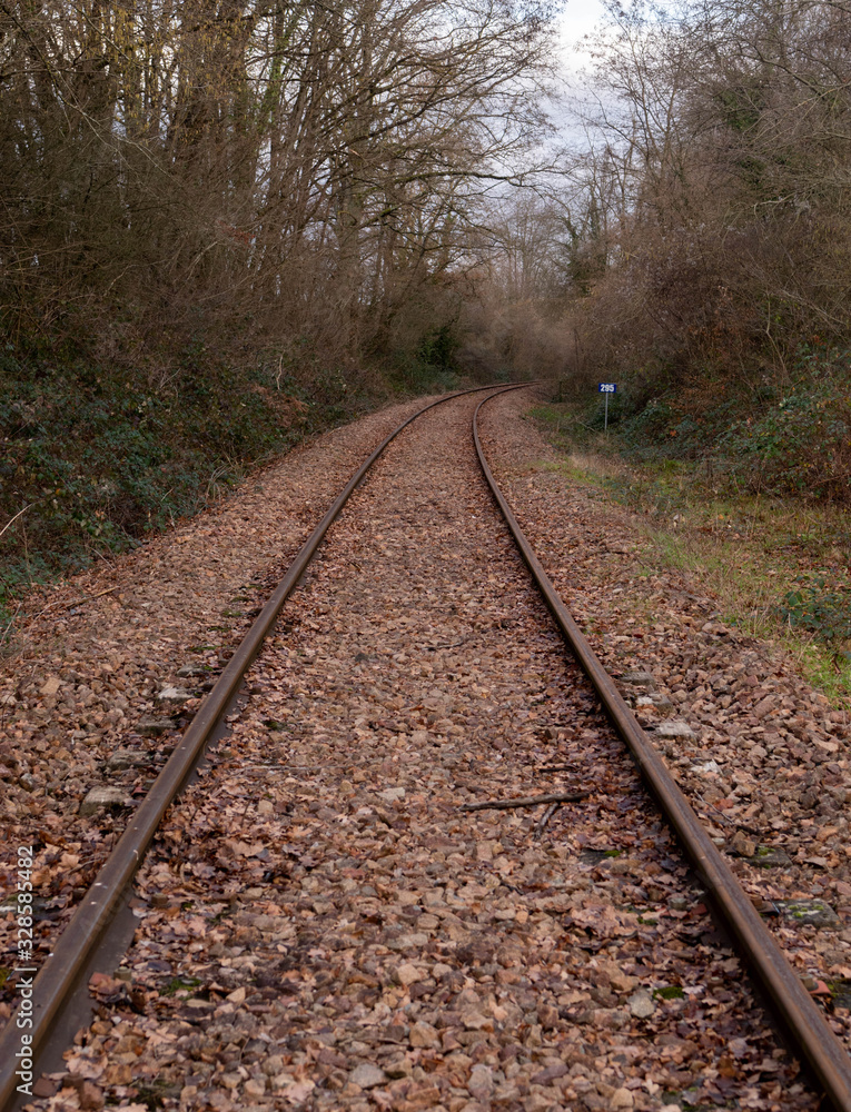 Fototapeta premium railway with a mysterious atmosphere. train tracks.