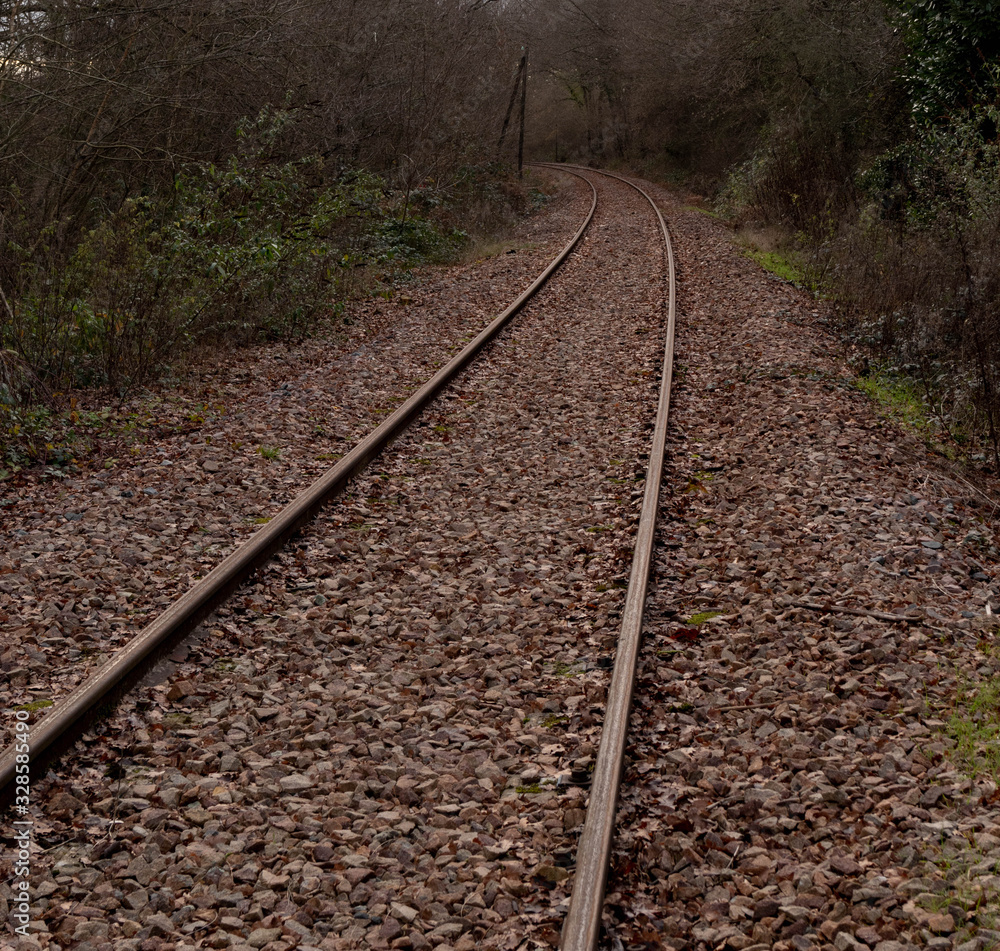 Fototapeta premium railway with a mysterious atmosphere. train tracks.