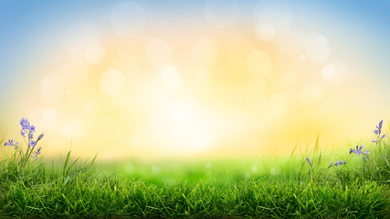 A sunny sunrise spring Easter morning background with a fresh green grass foreground.