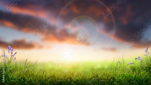 A sunny summer sunset background with a fresh green grass foreground.