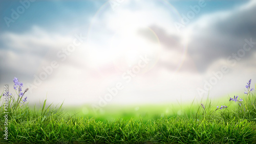 A sunny spring Easter morning background with a fresh green grass foreground.