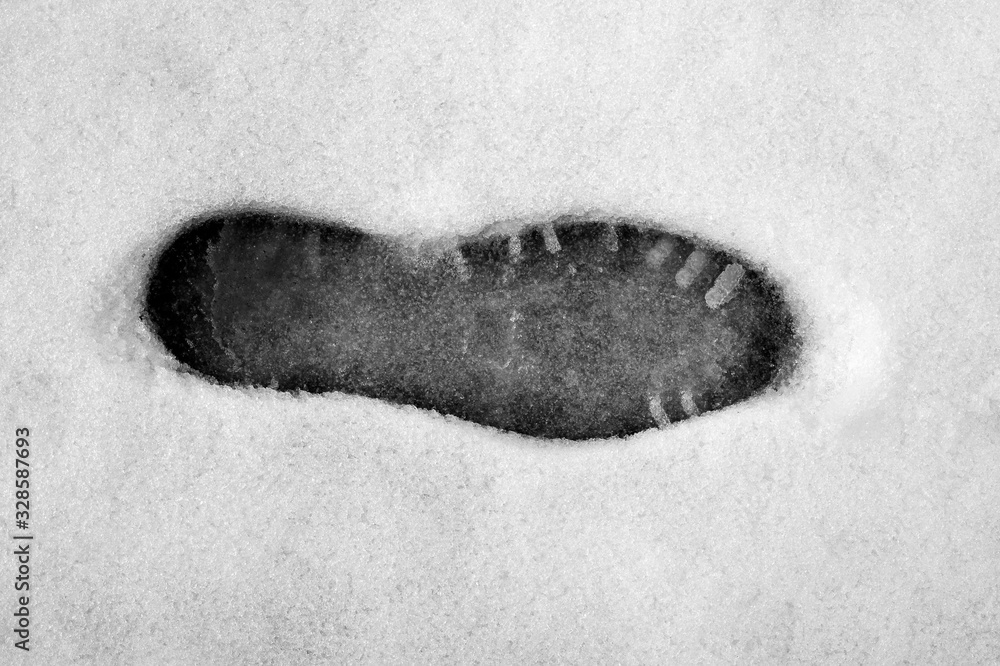 Fototapeta Orma nella neve