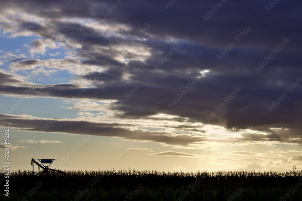 Harvesting machine in an agricultural landscape silloutted against the setting sun and dark cloudy sky in, George, South Africa