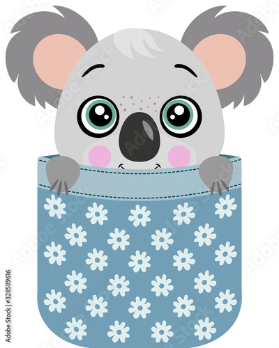 Cute koala  peeking inside pocket