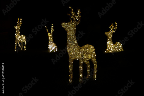 Deer figures made of wire and turned on bulbs on the lawn at night.