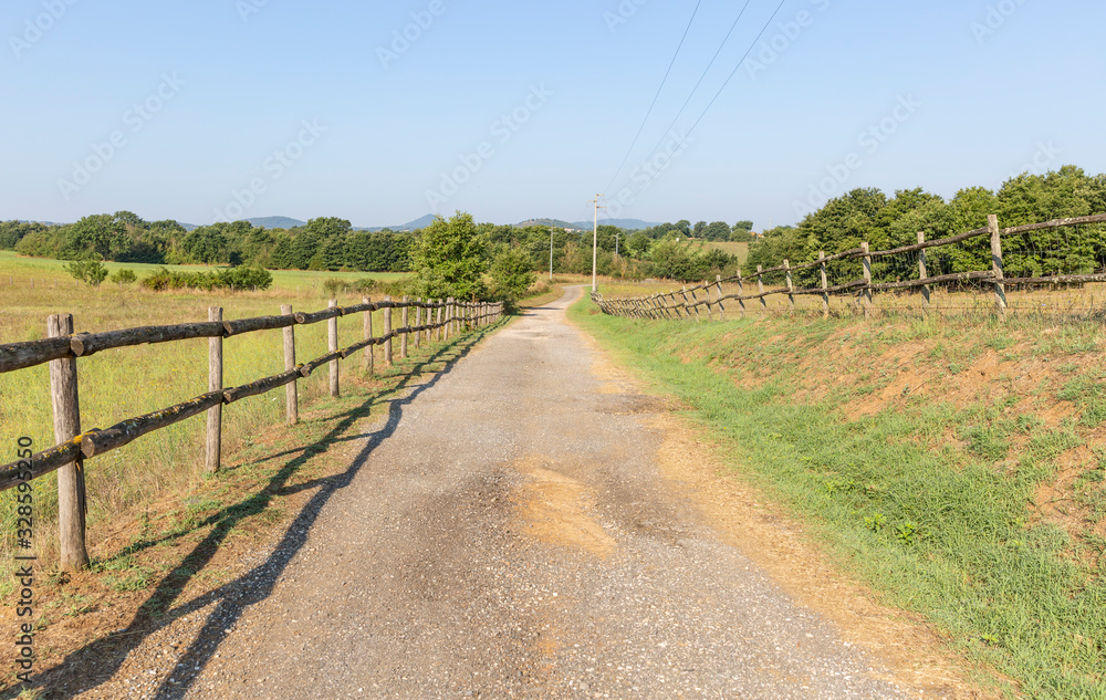 a gravel road on a farmland next to Monterosi, province of Viterbo, Lazio, Italy