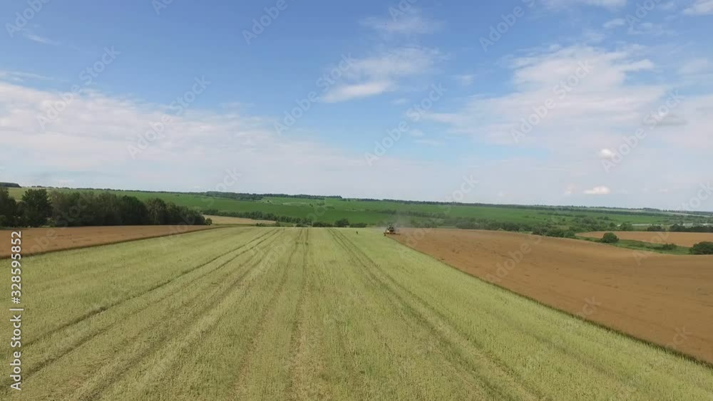 Rapeseed harvesting by combine on summer field Rapeseed harvesting by combine on summer field