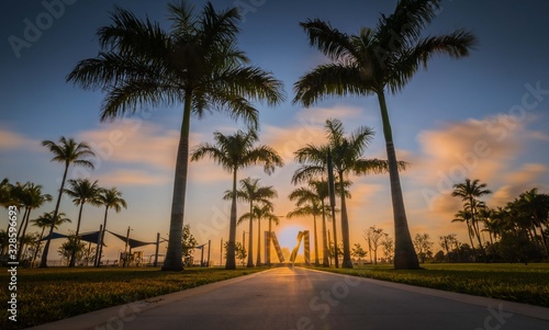 palms sun beach florida miami sunset tree miami tropical sky sea nature landscape island sunrise summer silhouette palm tree coast