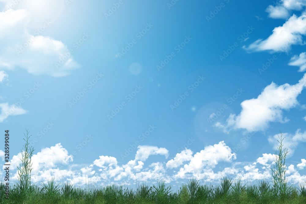 芝生と青空と雲と太陽光