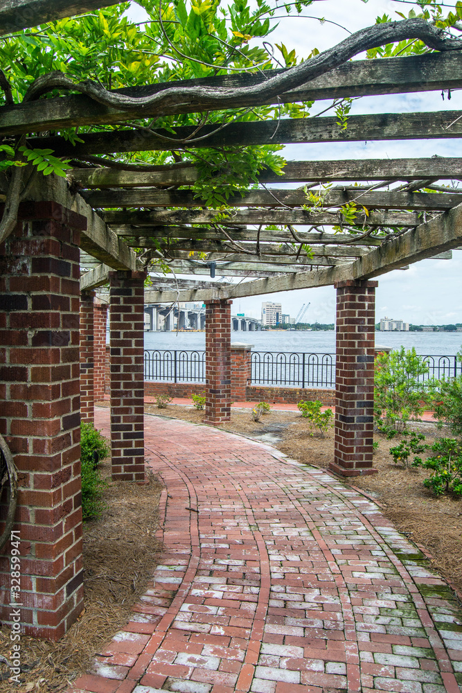 Brick walkway with an ivy-filled covering