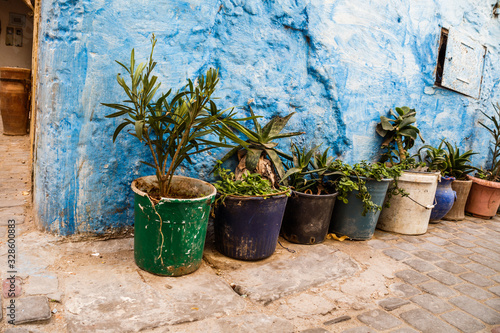 Image of old wall and plant flowers in pot in Morocco. © inesbazdar