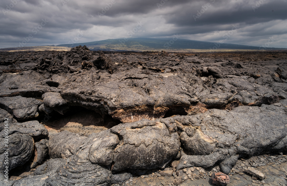 After the lava flow, Big Island Hawaii