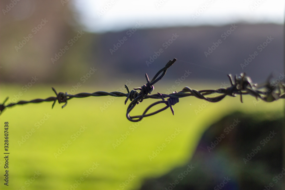 Close up of barbed wire on the side of a field Close up of barbed wire on the side of a field