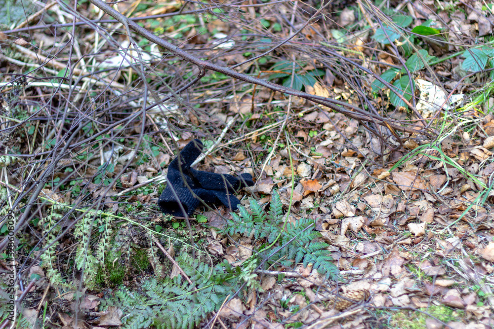 Black glove on the forest floor, Tyrebagger woods Black glove on the forest floor, Tyrebagger woods