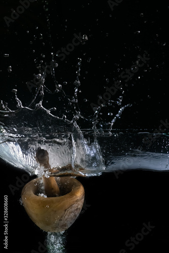 Wooden mortar and pestle, immersed in water, on black background