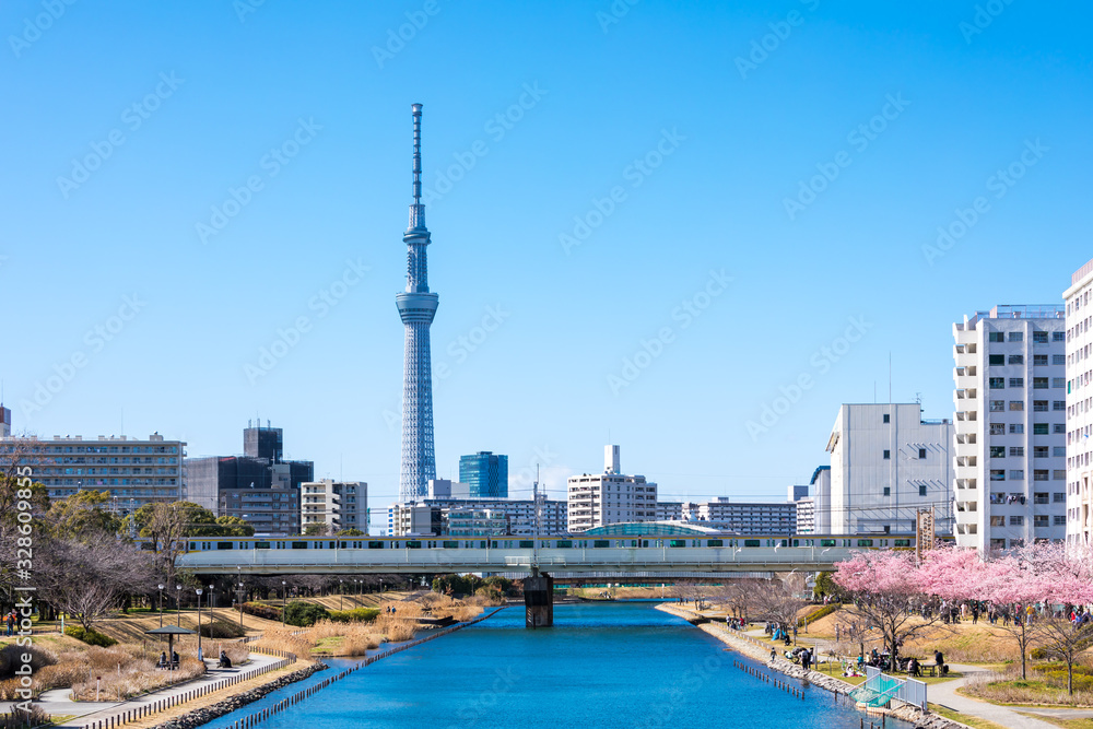 Obraz premium (東京都ー都市風景)春の旧中川から見るスカイツリー3