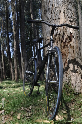 bicibleta, bici, naturaleza, ruedas, eco, movilidad, bosque photo